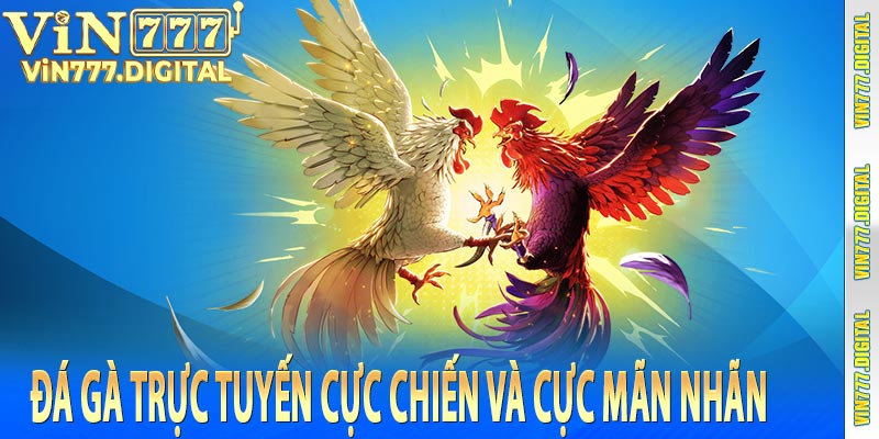 Đá gà trực tuyến cực chiến và cực mãn nhãn