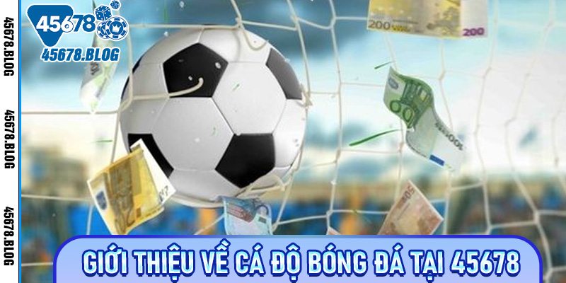 Giới Thiệu Về Cá Độ Bóng Đá Tại 45678
