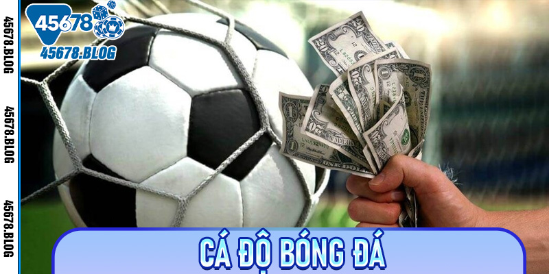 cá độ bóng đá