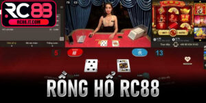Rồng Hổ Rc88